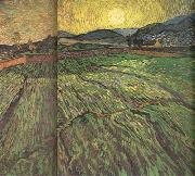 Vincent Van Gogh Enclosed Field with Risihng Sun (nn04) china oil painting artist